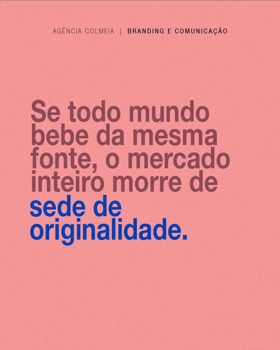 Agência Colmeia